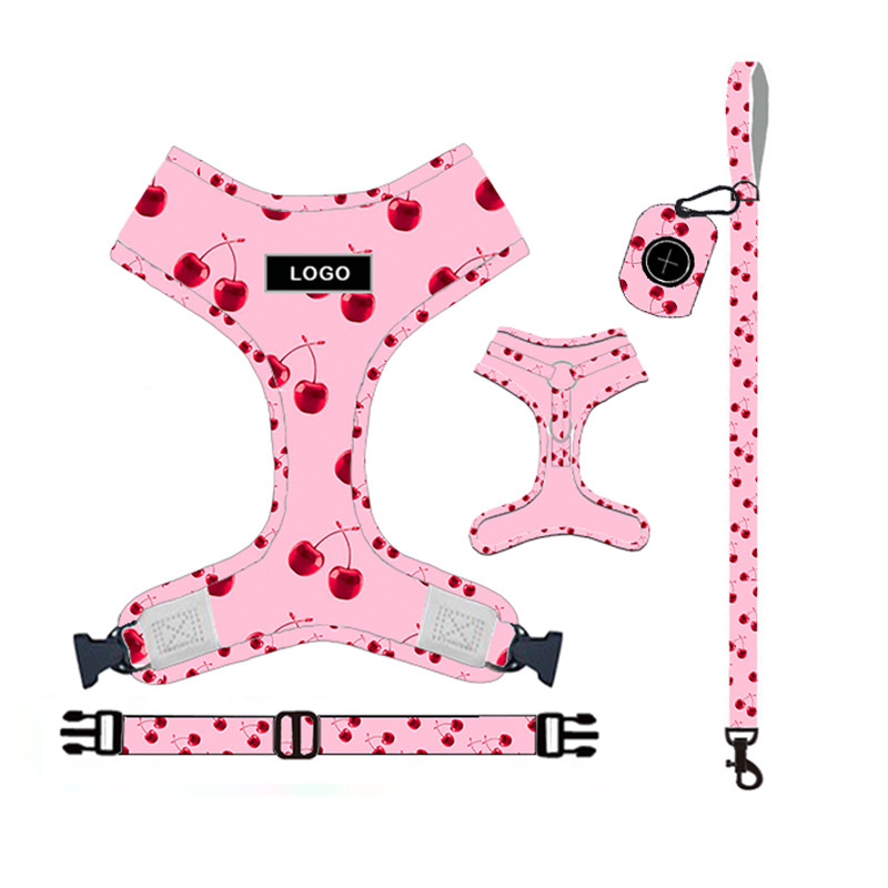 Pet Supplies Dog Leash Set Pet Leash - Image 3