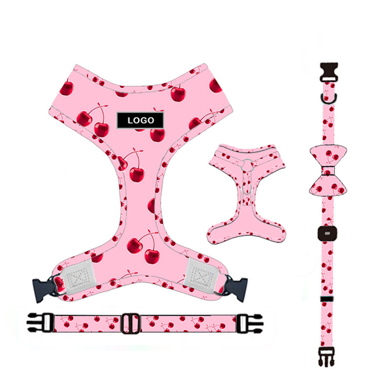 Pet Supplies Dog Leash Set Pet Leash - Image 6